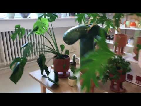 download lagu mp3 mp4 Studio Arhoj, download lagu Studio Arhoj gratis, unduh video klip Studio Arhoj