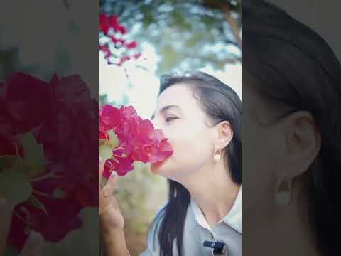 Área de 15 hectares  - Ideal para Loteamento, Construção de galpões comerciais ou industriais