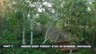 Thennal Jungle Camp Review Video 1 Magical Scotland - 4K Scenic Relaxation Film with Calming Music
