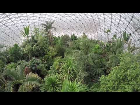 Trimming the Trees of the Climatron