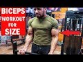 TOP 3 BICEPS EXERCISE - Complete Bicep Workout for MASS