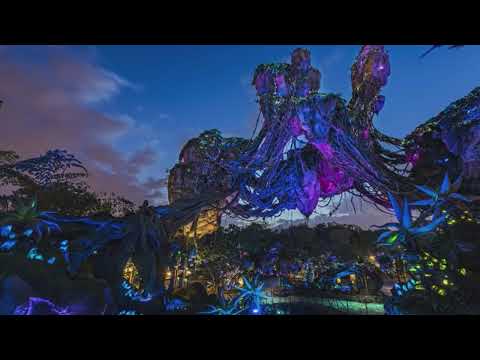 Animal Kingdom Pandora at Night Ambience | 30 Minutes