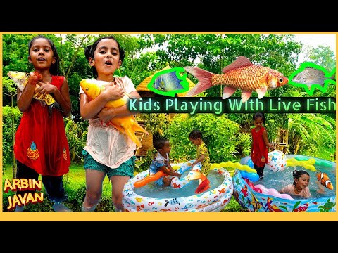 Sneyha, Arbin, Alisha & Ayra Fun Playing with Live Fish - Cute Kids Show - Colorful Live Fish