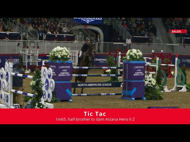 Implanted Embryo Aganix du Seigneur x Asca Z