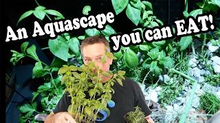 Herb Garden Aquarium | Complete Build (I Broke the Hardscape)