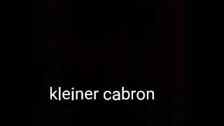 Veysel-Kleiner Cabrón