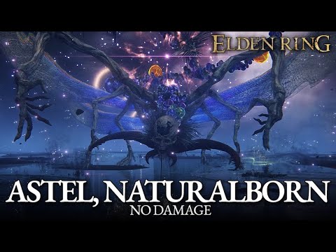 Astel, Naturalborn of the Void Boss Fight (No Damage) [Elden Ring]