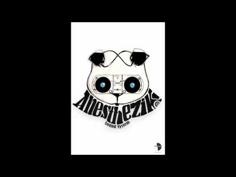 anesthezik sound system : crash test