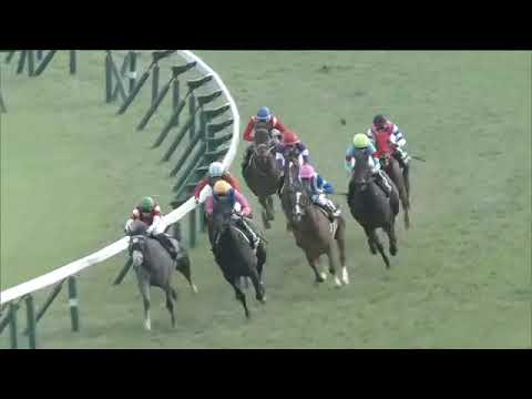 2021.10.03 Saffron Sho (JPN) - Water Navillera