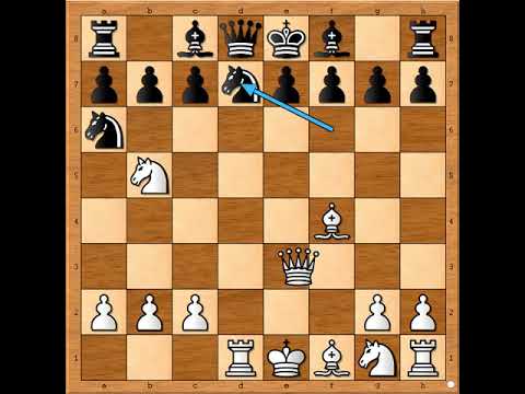 Fantastični udar na Kralja 👑🤣💥💥💥 DIEMER vs NN #S04