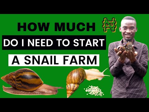 , title : 'HOW MUCH DO I NEED TO START A SNAIL FARM'