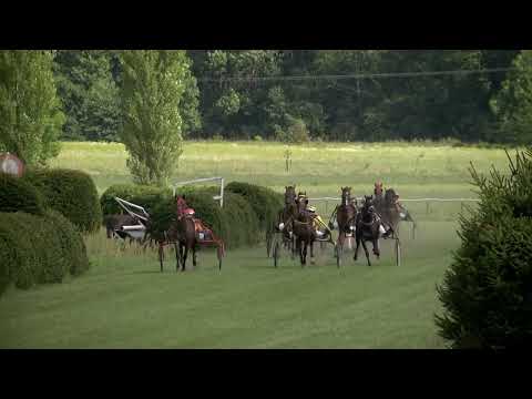 Klusáci Kolesa 10. 8. 2024 - 4. dostih - Velká cena Zdenko Radslav Kinský / Prix du Tr. Francais XI.