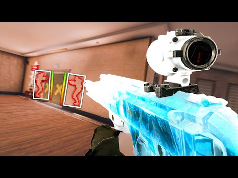 new ela has NO RECOIL