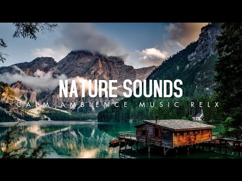 Rain on Leaves on a Forest Road in Autumn - 3 Hours Video with Sounds for Relaxation and Sleep