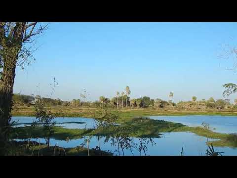 Villa Guillermina ,norte de Santa Fe .Argentina