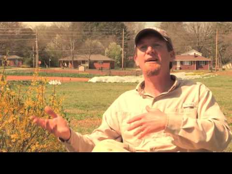 Organic Sound and Sensible Project - Communicating with Your Certifier to Avoid Mistakes