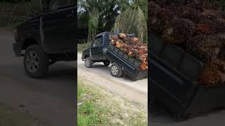 Download lagu Mobil patah rangka!!, muatan sawit #shorts #trending #sawit #truk #truksawit #fyp #jalanrusak mp3 Download lagu Mobil patah rangka!!, muatan sawit #shorts #trending #sawit #truk #truksawit #fyp #jalanrusak mp3