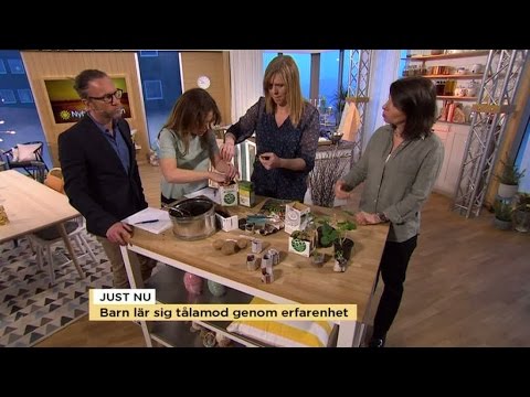 Träna barns tålamod genom att odla - Nyhetsmorgon (TV4)