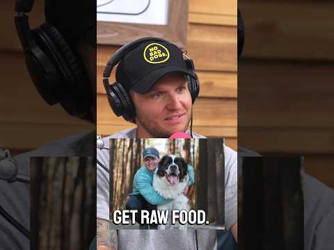 How to start Feeding a raw diet to your dog!