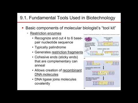 Chapter 9 part 1 microbiology nsester sandburg