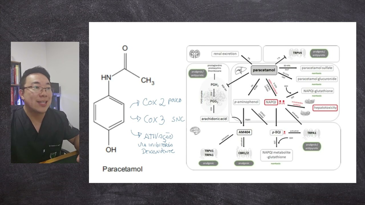 Mecanismo de Ação do Paracetamol - Farmacologia