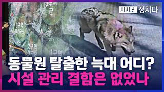 [시사쇼 정치다] 동물원 탈출한 늑대 '늑구', 3일째 행방 묘연… 시민들 위험하지만 생포했으면