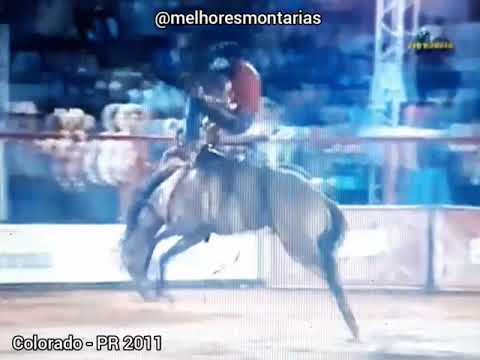 PABLO LUIS BERTOLIN X DAMA DA NOITE - RODEIO DE COLORADO 2011