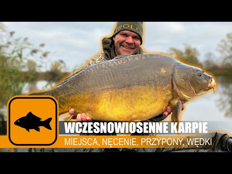 Early Spring Carp with Robert Adamski - ep.1 - location, bait, leaders, rods // Prologic