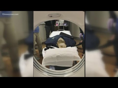 Sea Turtle gets CT Scan at Sentara Albemarle