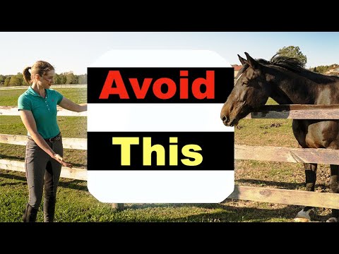 BEGINNER HORSE RIDING MISTAKES - TOP 10 🐴