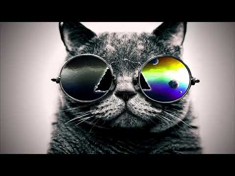 Kizomba Remix❗ Papi Negris.❌