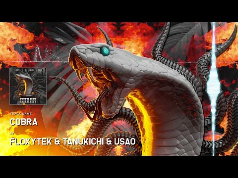Floxytek & Tanukichi & USAO - Cobra
