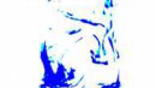 Cuckoo Cuckoo- Animal Collective