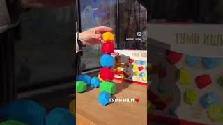 Игра настольная "Туми иши" серии "Baby Toys" арт.05933