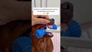 ESSE PRODUTO É INCRIVEL! #shopeebr #achadosshopee #achadinhosshopee #shopee #casa #cozinha #dicas