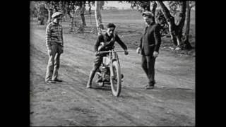 Pavo Pavo - Annie Hall