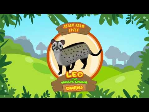 Witness21  2018 12 14