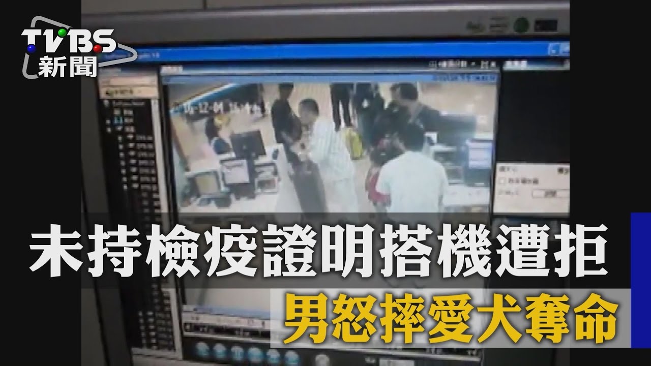 未持檢疫證明搭機遭拒　男怒摔愛犬奪命