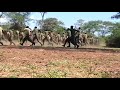 Kenya Defence Forces Martial Arts Training