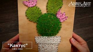 Кактус ABC-002