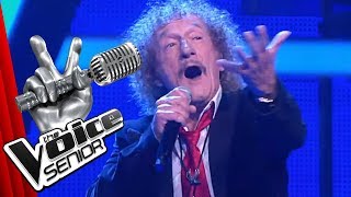 Video thumbnail of "Procol Harum - A Whiter Shade Of Pale (Geff Harrison) | The Voice Senior | SAT.1"