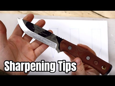 You're WRONG about Scandi Grind Knives - [ SHARPENING TALK ]