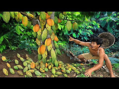 life in jungle - How To Make Chocolate At forest