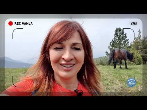 STOLOVI | Osvajanje vrha Kamarište i potraga za DIVLJIM KONJIMA | SA VANJOM U PLANINE Ep.13