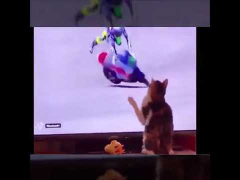 challeges your limits!  LOL