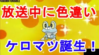 ケロマツ ポケットモンスター ラムパルド アチャモ ゾウドウ