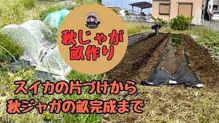 I worked hard, from clearing away watermelons to tufting autumn potatoes. [Clean-up] [Autumn pota...