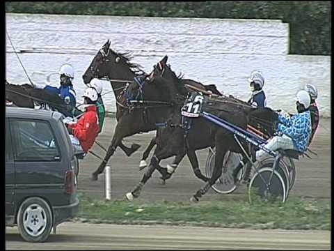 Trotto 19/02/2016 - 2° corsa