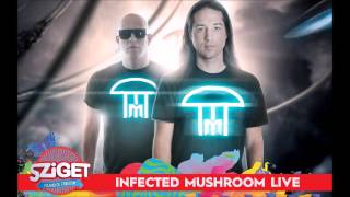 Infected Mushroom - Now Is Gold @Live from Sziget Festival 2015 [HQ Audio]