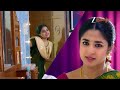 Chinna Siru Kiliye சின்னஞ்சிறு கிளியே Monday Friday 7 PM 01 Januar